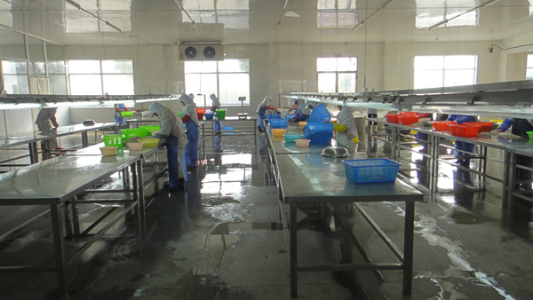 生產(chǎn)車間-005